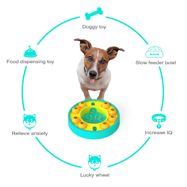 Dog Training Toys