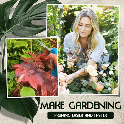 Portable Garden Scissor